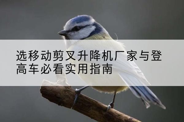 惠东电动升降机厂家-选移动剪叉升降机厂家与登高车必看实用指南