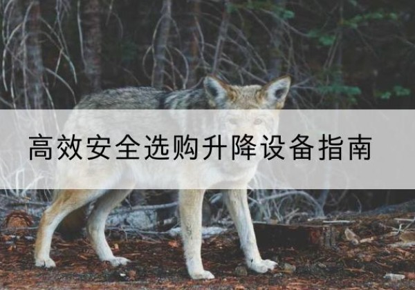 惠东升降货梯厂家推荐-*安全选购升降设备指南