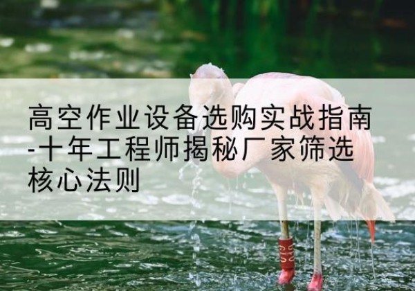 惠东剪叉式升降机厂家-高空作业设备选购实战指南-十年工程师揭秘厂家筛选核心法则