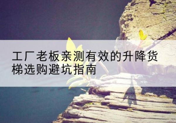惠东升降货梯怎么选-工厂老板亲测有效的升降货梯选购避坑指南